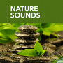 1000 Nature Sleep Relax Sounds APK+MOD (Premium)v1.4.6 1000 Nature Sleep Relax Sounds