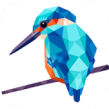 Low Poly Art - Color by Number, Number Coloring icon