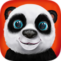 Teddy the Panda icon