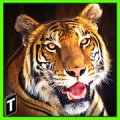 Super Tiger Sim 2017 icon
