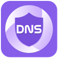 DNS Changer & Scanner Mod