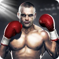 Punho Real APK