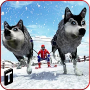 Sled Dog Racing 2017 APK+MOD (Unlimited money)v1.2 Sled Dog Racing 2017