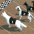 Crazy Dog Racing‏ Mod