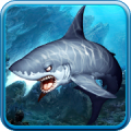 3D Sharks Live Wallpaper icon