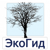 ЭкоГид: Деревья зимой icon