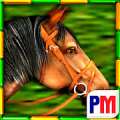 Gallop for Gold Slots icon