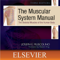 Muscular System Manual icon