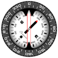 Compass PRO icon