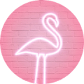 PinkMoon icon