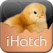 iHatch-Chickens Mod Apk [Paid for free][Free purchase]
