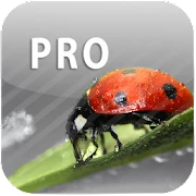 ColorUp Pro - Photo Editor Mod Apk 2.2.0 [Ücretsiz ödedi][Ücretsiz satın alma]