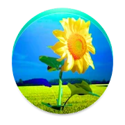 Girasol PRO Mod Apk [Paid for free][Free purchase]