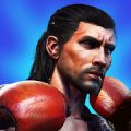 Mega Punch - Top Boxing Game icon