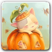 Abóbora Kitten Live Wallpaper