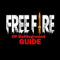 Free Battleground Guide icon