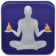 The Official 4-Hour Body App Mod
