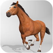 Horse Simulator 3D Mod