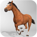Horse Simulator 3D‏ Mod