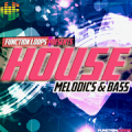 House Melodics & Bass for AEM icon