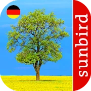 Baum Id - Deutschlands Bäume Mod