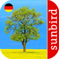 Baum Id - Deutschlands Bäume icon