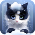 Frosty The Kitten icon