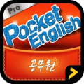포켓 공무원영어 Pro Mod