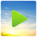 Autorun Manager Pro APK