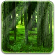 RealDepth Forest LWP Mod