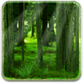 RealDepth Forest LWP icon