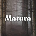 Matura FlipFont Mod