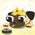 Pokepugs - Growing Pug icon