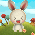 이상한나라의 바니바니바니(Bunny in Wonderland) icon