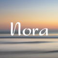 ITC Nora FlipFont icon