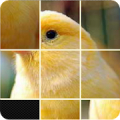 Pictures Puzzle Best Game APK