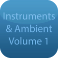 Real Instruments & Ambient V1‏ Mod