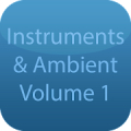 Real Instruments & Ambient V1 Mod