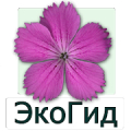 ЭкоГид: Цветы - старая версия icon