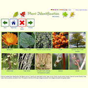 Plant Identification - worldwide Mod