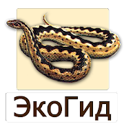EcoGuide: Russian Reptiles Mod