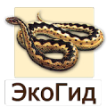 EcoGuide: Russian Reptiles Mod