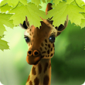 Giraffe HD Parallax LWP Pro‏ Mod