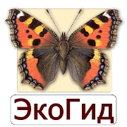 ЭкоГид: Бабочки Mod