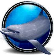 Dolphins Real 3D Mod