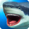 Köpekbalığı Simulatörü Mod