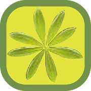 Essbare Wildpflanzen Mod