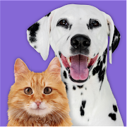 Pet Parade: Cutest Pet Contest icon