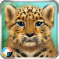 Wild Leopard‏ Mod