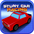 Stunt Car Racing Premium‏ Mod